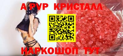 стафф Будённовск